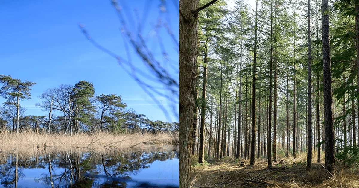 EcoGroen project